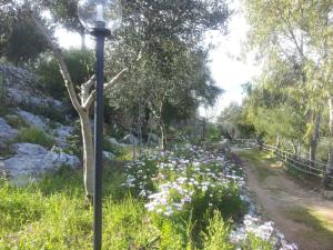 Residencefusaro pajare Specchia