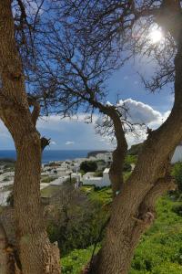 Little Lindos Sea View Studios Rhodes Greece