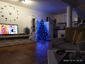 Penthouse Marina Sol