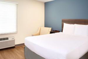 Queen Room  with Roll-In Shower - Disability Access/Non-Smoking room in WoodSpring Suites Nashville Airport