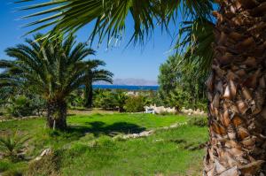 The Small Village Kos Greece