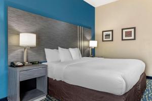 Standard King Room - Non-Smoking  room in Comfort Inn & Suites Pauls Valley - City Lake