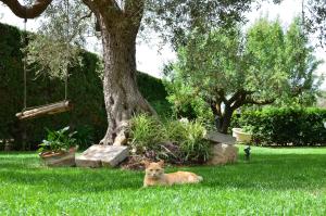 Exlusive Pool Villa - Cascina Relais