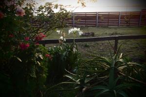 Hotel Buena Vista Se reserva solo con seña