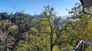 Apartman Pogled Sokobanja