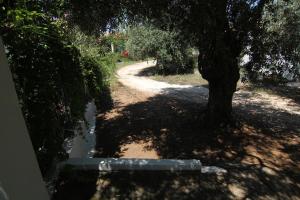 Joanna's House Thassos Greece