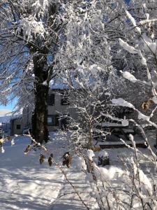 Ferme des deux Frères, Autrans, Vercors