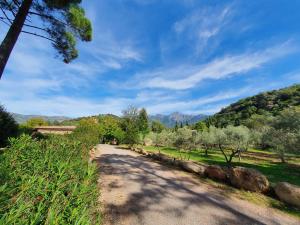 Villas Domaine Codaleone : photos des chambres