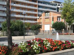 Apartment in Porto Santa Margherita 25675