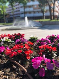 Apartment in Porto Santa Margherita 25675