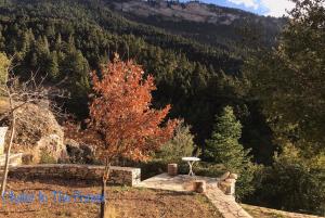 Chalet in the Forest Achaia Greece