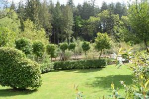 Appartements Appartement Prive, Camping La Pointe : photos des chambres