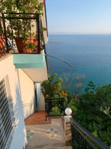 Hotel Odhisea Qeparo