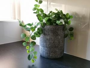 Palm Waters Holiday Villas