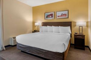 Efficiency King Suite - Non-Smoking/Upper Floor room in MainStay Suites Moab near Arches National Park
