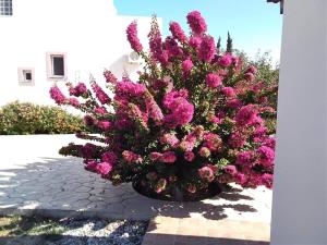 Evi's Sea View Villa Rhodes Greece