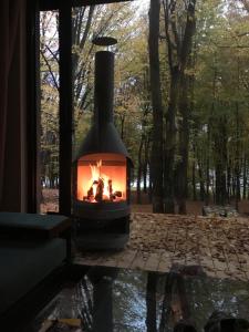 Luxury Lake House & Glamping