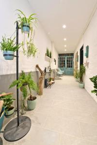 B&B / Chambres d'hotes Chambres d'hotes Les Nuits Pastel : photos des chambres