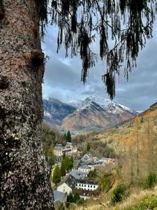 Appartements Residence Bonnecaze : photos des chambres