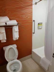 Standard Queen Room with Two Queen Beds room in Holiday Inn Express Richmond-Brandermill-Hull Street an IHG Hotel