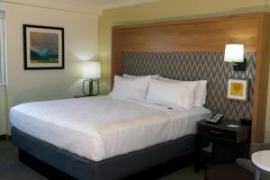 King Suite room in Holiday Inn Binghamton-Downtown Hawley Street an IHG Hotel