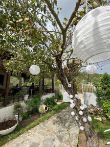 Mistral Boutique Hotel