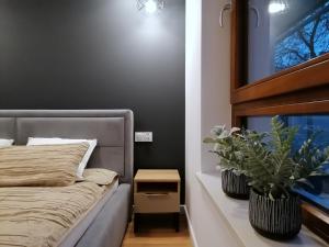 Apartament Nowoczesny