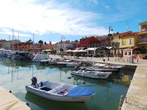 Apartment Valbandon, Istria 5