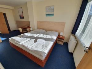 Comfort Double or Twin Room room in Hotel TJ Chodov