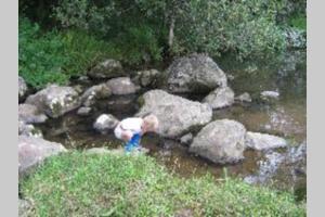 Hornbills Forest Cottages