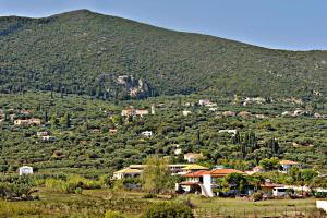 Pothos Hotel Alykes Zakynthos Greece