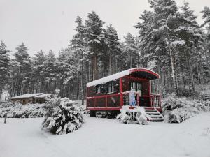 Complexes hoteliers Les Chalets du Haut-Forez : photos des chambres