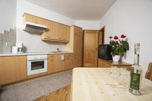 One-Bedroom Apartment room in Winzerhof - Gästehaus Stöger
