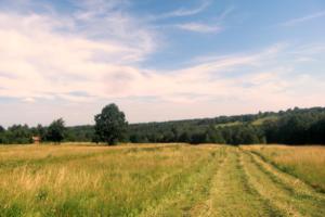Naturpark Ferienhaus