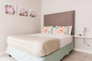 Alimama Spaces: Nirvana Green Creek Studio