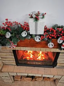 思富尼克勒斯宾馆 - Bertea