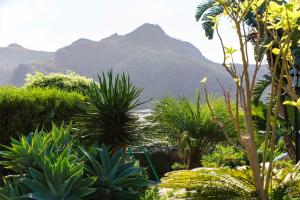 Cosy Apartment in San Cristóbal de La Laguna, 32 m², Pool.