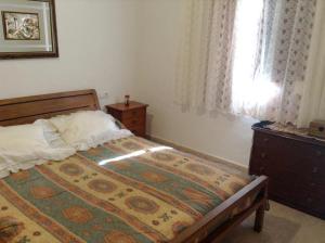 Spacious Villa with Pool near the Beach in Alicante