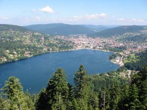 Maisons de vacances Appartement confortable a Gerardmer 40 m² proximite pistes : photos des chambres