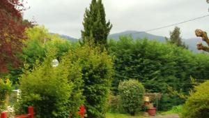 Chalets Chalet charmant a Saint-Jean-du-Gard : photos des chambres