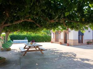 2 bedrooms house with private pool enclosed garden and wifi at Deltebre