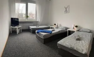 Hostel Czecha - Зельонка