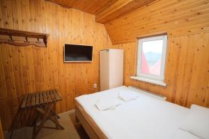 Double Room room in Sibir Hotel