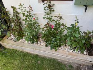 Appartements Le Hameau des Neiges : photos des chambres