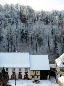 Appartements La Maison des Fontaines d'Alsace : photos des chambres