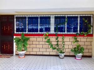 Lucky Sea Breeze Villa