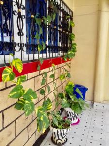 Lucky Sea Breeze Villa