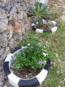 Lucky Sea Breeze Villa