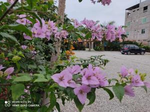 Hotel Berlín International
