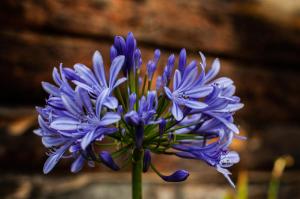 "Acogedora Cabaña Ojo de Agua en Villa de Leyva -Vistas Increíbles de las Montañas Iguaque!